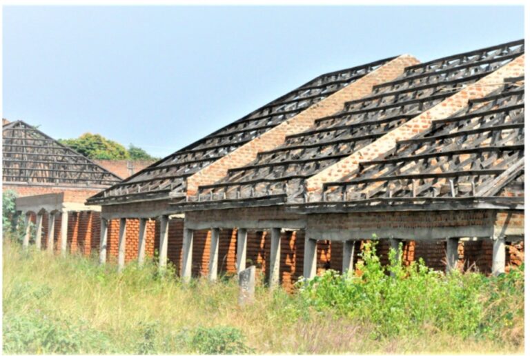 مشروع ممول من البنك الدولي لإحياء محطة النقل المتعطلة في نبيبي وتعزيز البنية التحتية للمواصلات في أوغندا