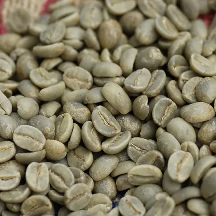 China-Yunnan-Coffee-Bean-Green-Roasted-Wholesale-Factory