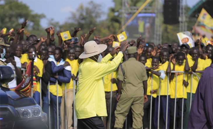 Museveni-cattle