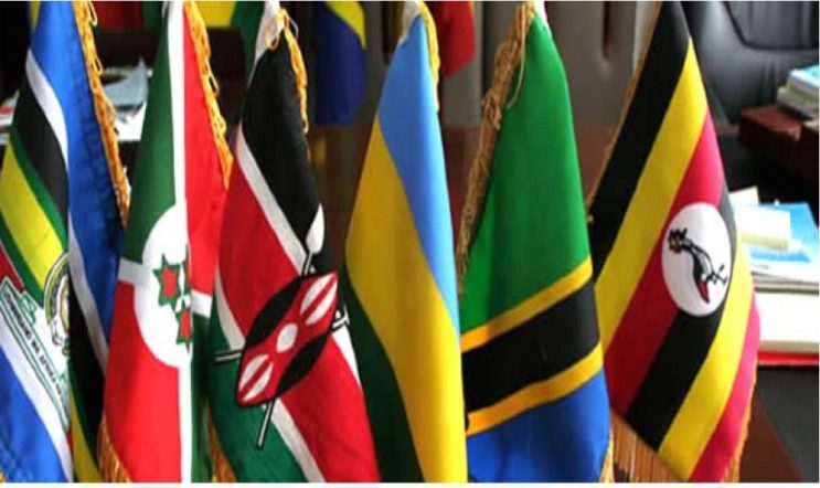 Screenshot_٢٠٢٥١٢٢٩_١١٠٥٠١_Chrome