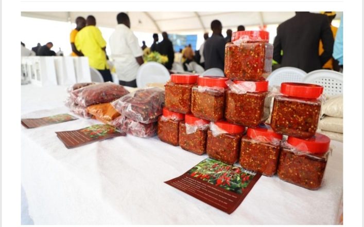 Screenshot_٢٠٢٦٠١٢٠_٢٠٥٩٣٣_Chrome