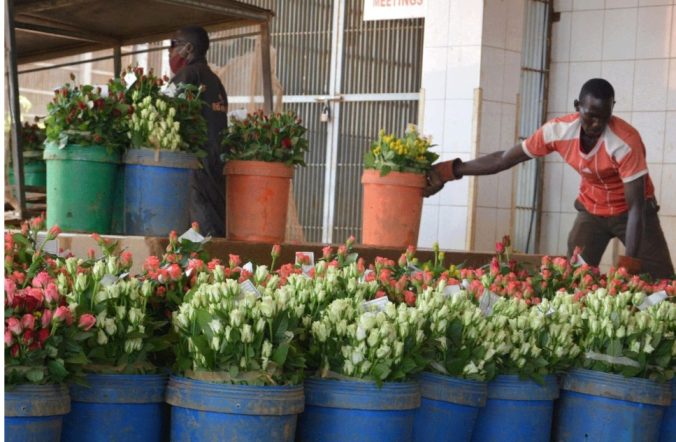 Screenshot_٢٠٢٦٠١٢٨_٠٨٢٨١٧_Chrome