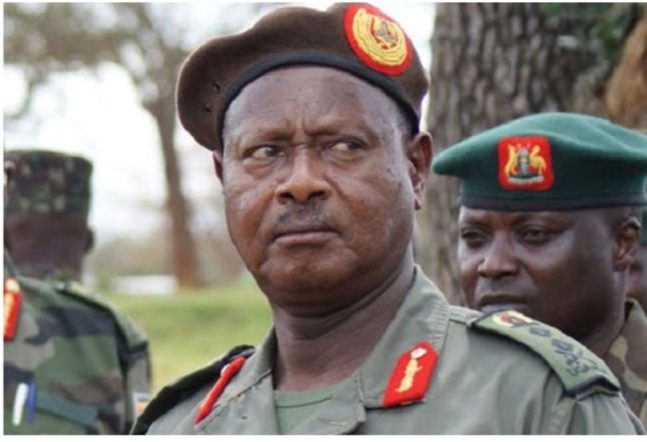 Screenshot_٢٠٢٦٠١٢٩_٠٧٢٠٥٣_Chrome