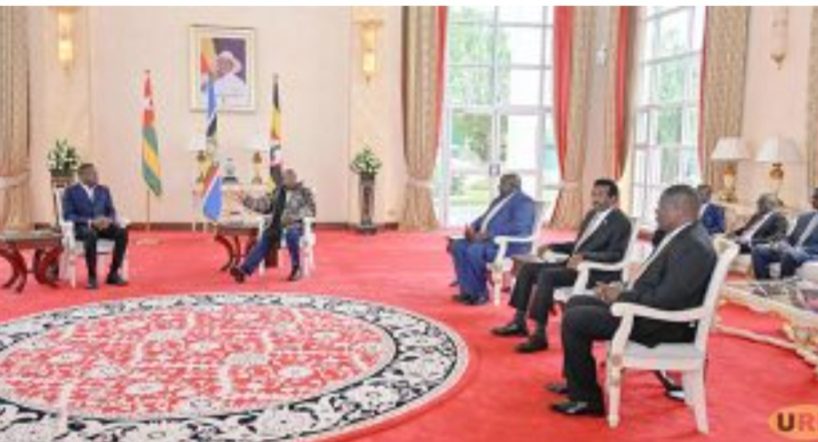 Screenshot_٢٠٢٦٠٢٠٤_٠٩٣٨٤٨_Chrome