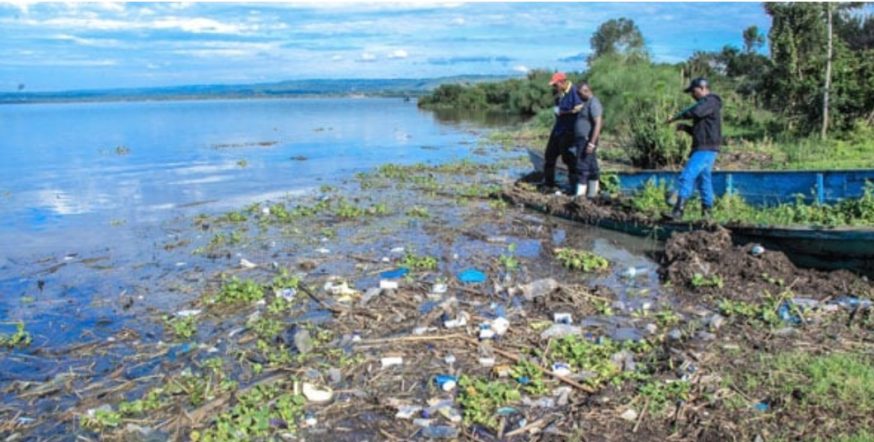 Screenshot_٢٠٢٦٠٢٠٥_١١١٥١١_Chrome