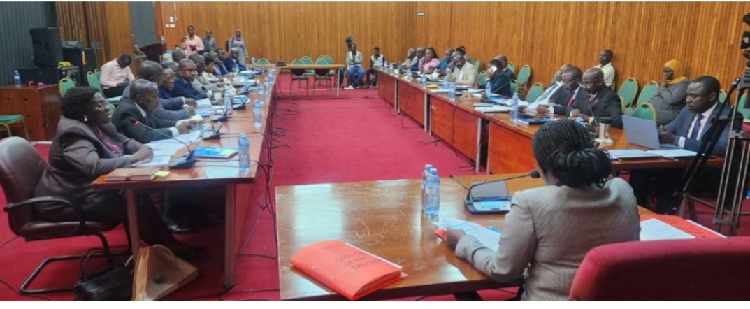 Screenshot_٢٠٢٦٠٢٢٧_٠٣٥٨٥٥_Chrome