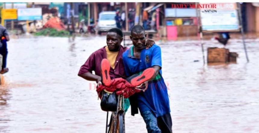 Screenshot_٢٠٢٦٠٢٢٨_١٢٢١١٣_Chrome