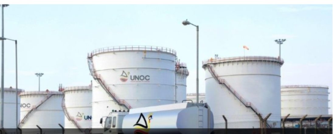 Screenshot_٢٠٢٦٠٣١٣_٠٩٢١٣٩_Chrome