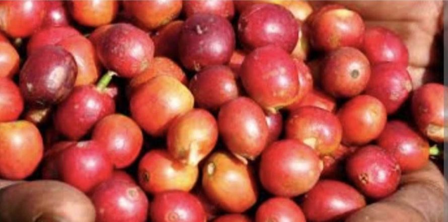 Screenshot_٢٠٢٦٠٣١٣_١٠١٩٠٥_Chrome