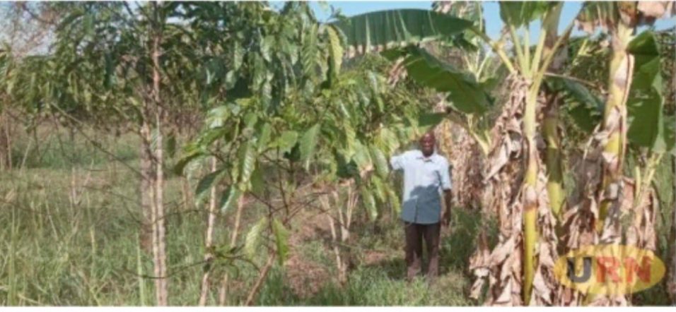 Screenshot_٢٠٢٦٠٣١٥_١٠٥٦٠٦_Chrome