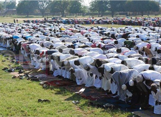 Screenshot_٢٠٢٦٠٣١٩_٠٨٢٥٥٢_Chrome