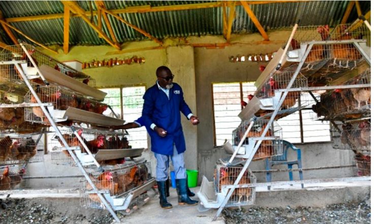 Screenshot_٢٠٢٦٠٤١٤_١٤٠٣١٨_Chrome