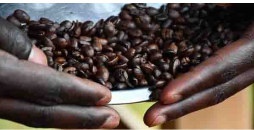 Screenshot_٢٠٢٦٠٤٢٨_١٦٣١٤٧_Chrome