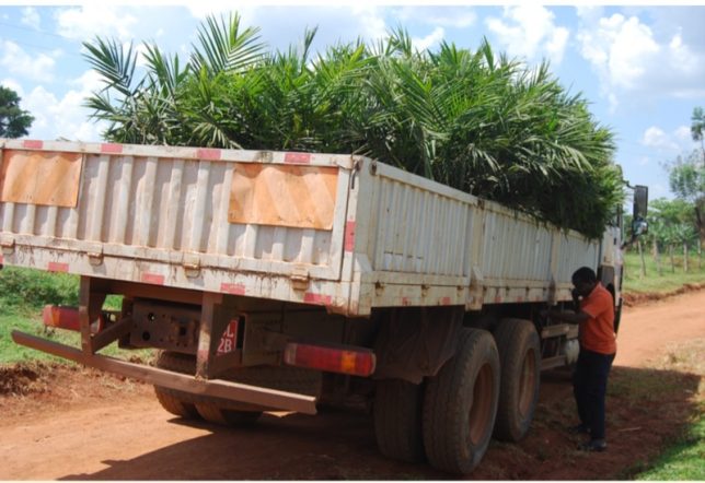 Screenshot_٢٠٢٦٠٤٢٨_١٦٤٨٥٧_Chrome