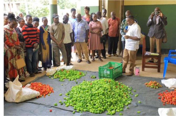 Screenshot_٢٠٢٦٠٤٢٩_١٤٠١٣٨_Chrome