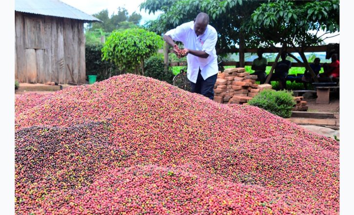 Screenshot_٢٠٢٦٠٧١٥_١٧٠٨٤٨_Chrome