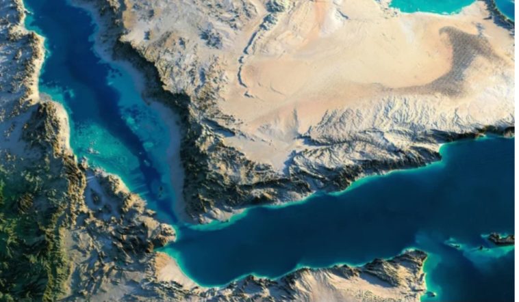Screenshot_٢٠٢٦٠٨٣٠_١٣٢٥٥٠_Chrome