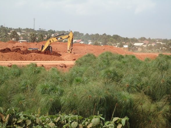 wetland-encroachment