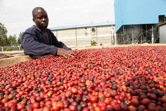 أسعار البن العالمية

صغار المزارعين (Smallholder farmers)

سلسلة القيمة (Value chain)

كوني أكايو (Connie Acayo) (مساعد مفوض الاتصالات بوزارة الزراعة)

جمعية ساساكاوا الأفريقية (SAA) (الجهة المنظمة للاجتماع)

وزارة الزراعة (Ministry of Agriculture)

نموذج تنمية الرعية (PDM)

عملية خلق الثروة (OWC)

السفير فيليب إيدرو (Ambassador Phillip Idro)

الميكنة الزراعية (Mechanisation)

الجرارات المتنقلة (Walking tractors)

شويتشي سوزوكي (Shuichi Suzuki) (رئيس SAA)

ميل أولوخ (Mel Oluoch) (مدير الشراكات الاستراتيجية بـ SAA)

البروفيسور بيتر إيبانيات (Prof Peter Ebanyat) (جامعة ماكيريري)

روبرت أنيانج (Robert Anyang) (المدير القطري لـ SAA في أوغندا)

فرانك موهوموزا (Frank Muhumuza) (هيلو تراكتور أوغندا)

البرازيل وفيتنام (الدول المتسببة في زيادة الإنتاج العالمي)