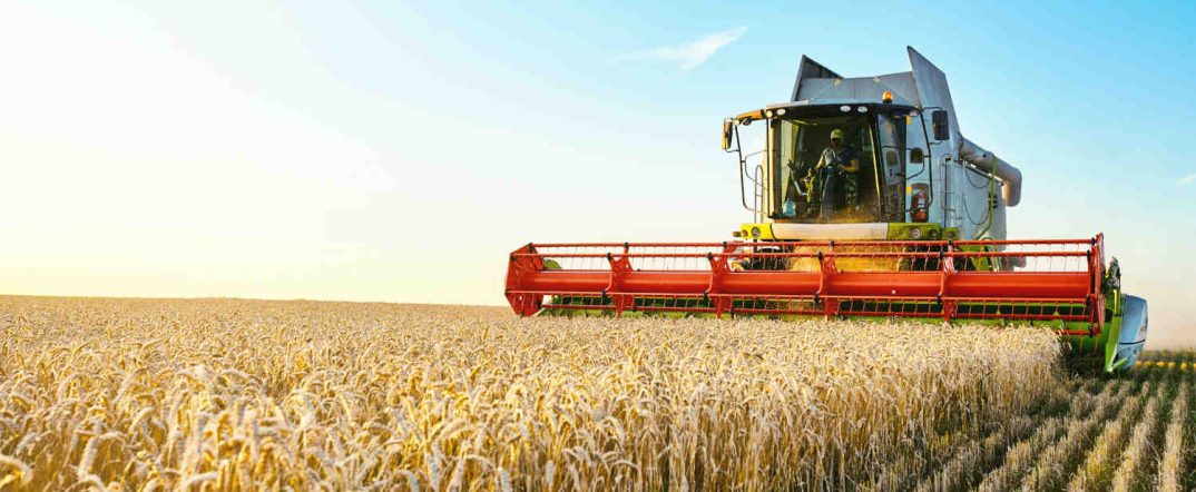 برنامج التنمية الزراعية الشاملة لأفريقيا (CAADP)
تقنيات الزراعة المستدامة في إثيوبيا
أثر الجفاف والفيضانات على الزراعة الإثيوبية
أهمية الشراكات الدولية في التنمية الزراعية
رؤية إثيوبيا لـ "البصمة الخضراء"
[وزارة الزراعة الإثيوبية]
[الأمن الغذائي والسيادة الغذائية]
[تطوير البذور في الزراعة الإثيوبية]