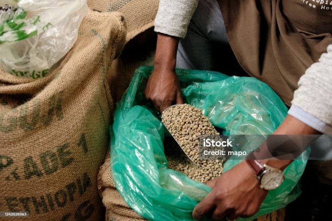 Fresh coffee beans sourced from Ethiopia